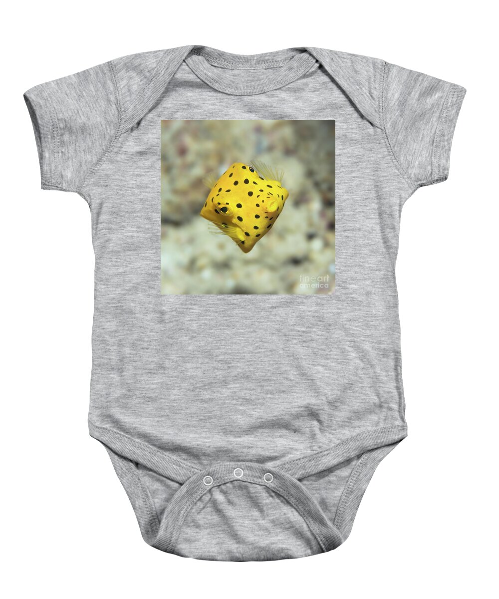 Macro Baby Onesie featuring the photograph Black-spotted boxfish by MotHaiBaPhoto Prints