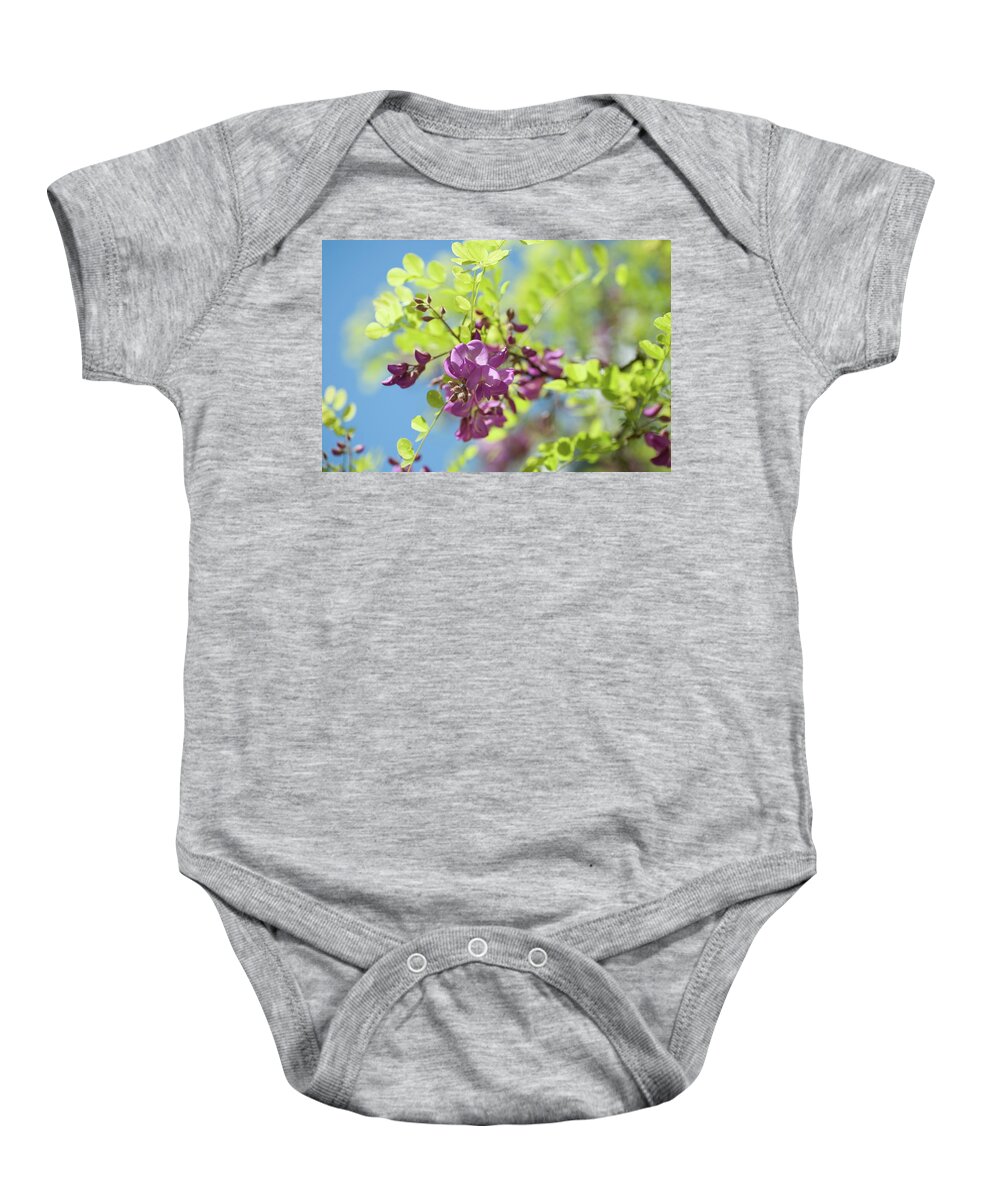 Jenny Rainbow Fine Art Photography Baby Onesie featuring the photograph Bloom of Purple Acacia Tree by Jenny Rainbow