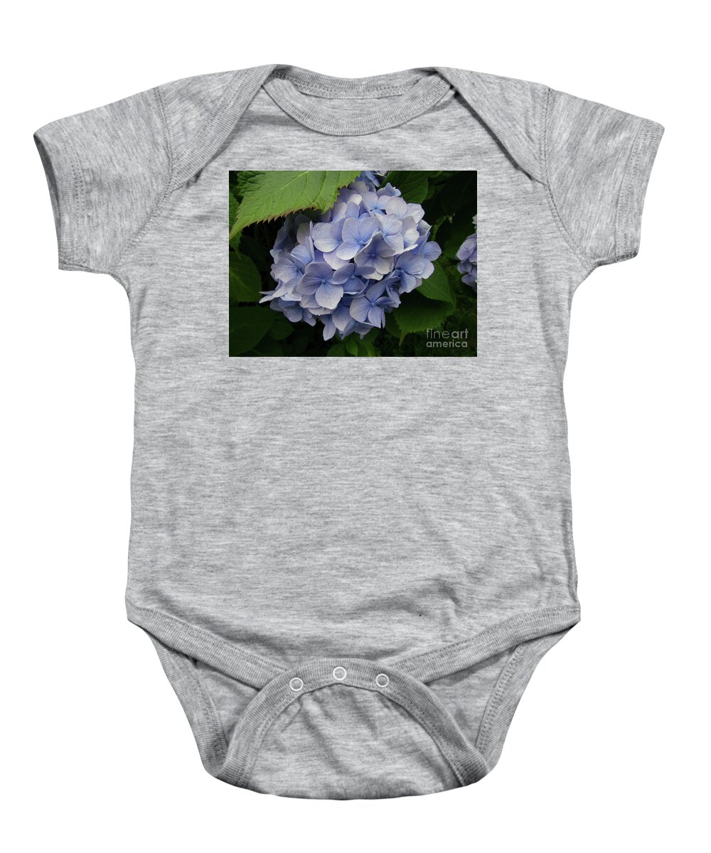 Hydrangea Baby Onesie featuring the photograph Blue Hydrangea Blooms by Kim Tran