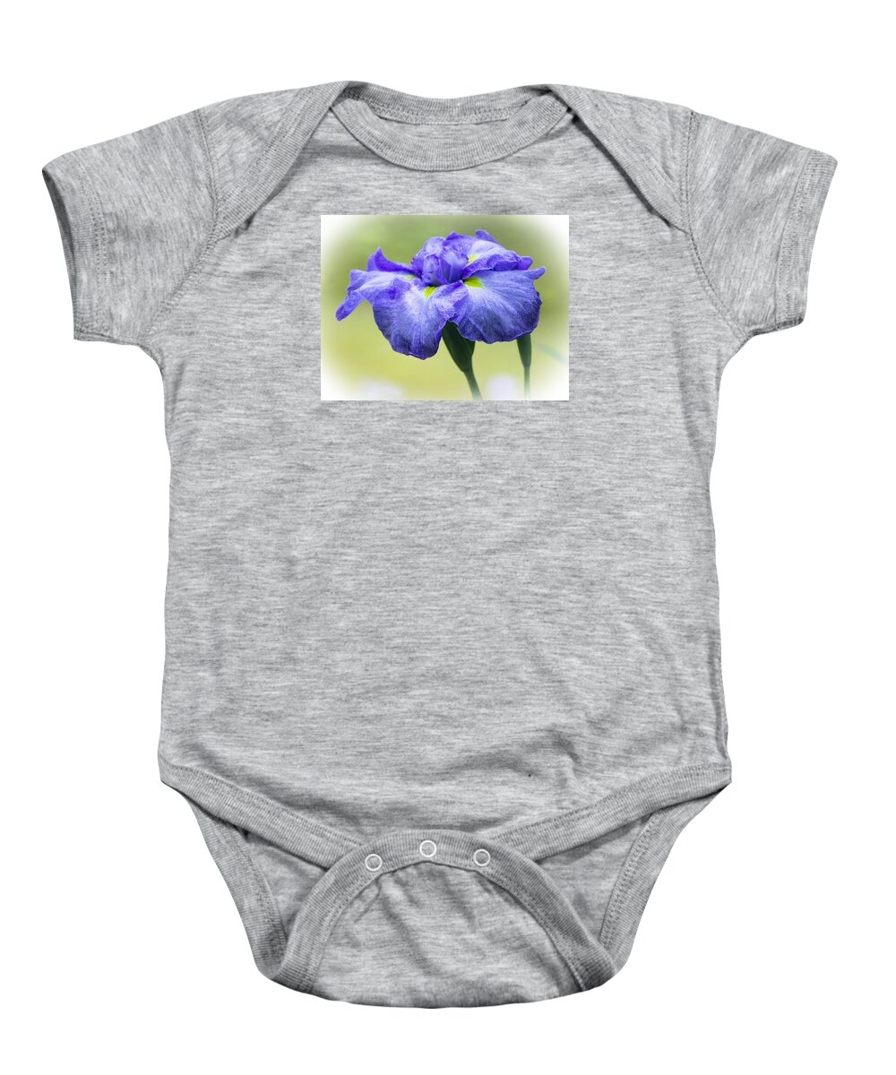 Flowers Baby Onesie featuring the photograph Purple Iris by Venetia Featherstone-Witty