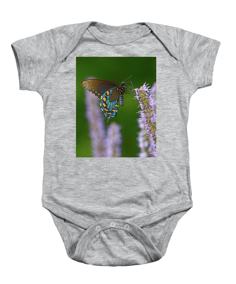 Swallowtail Baby Onesie featuring the photograph Blue Swallowtail by William Jobes