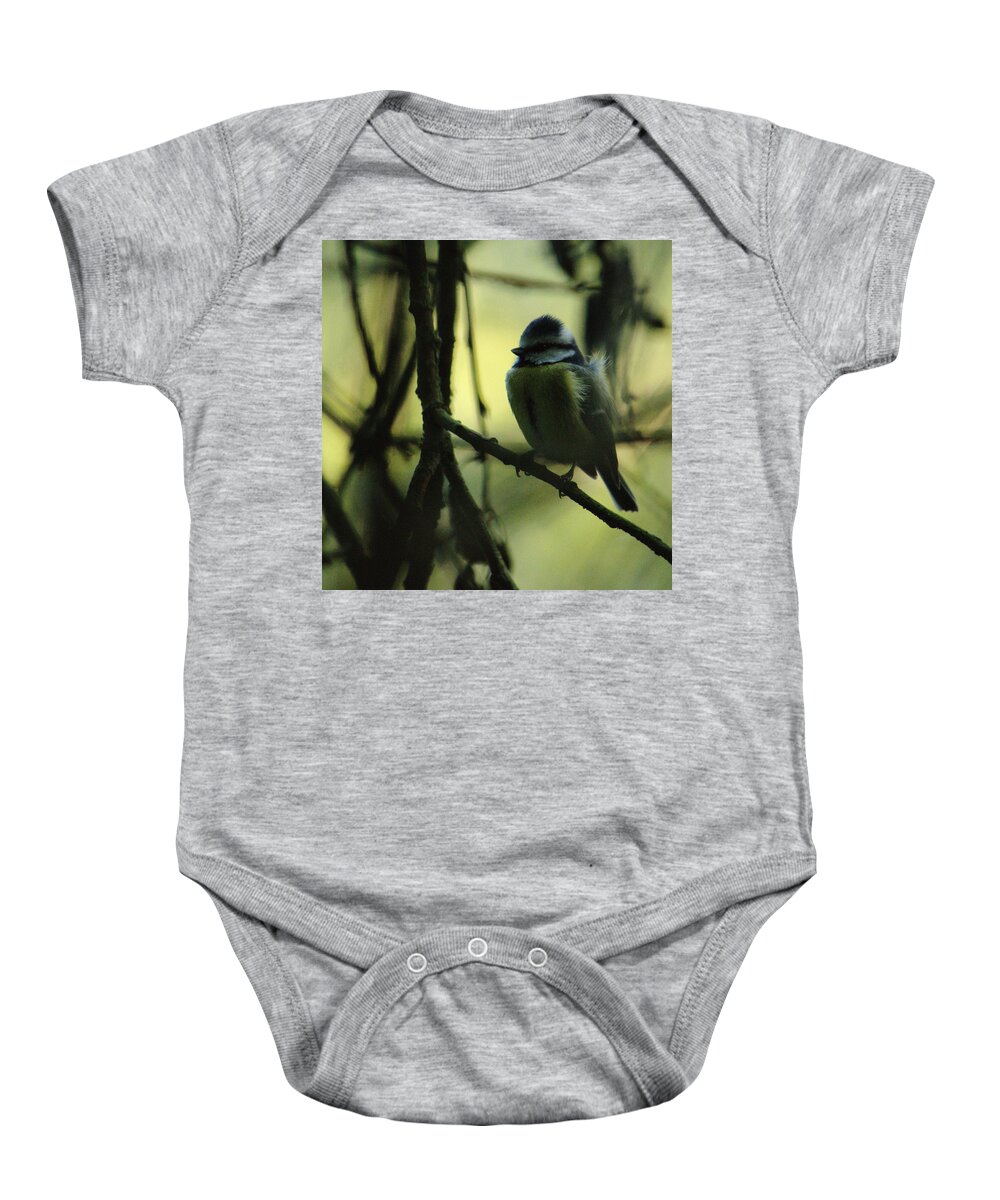 Bird Baby Onesie featuring the photograph Blue Tit Autumn Evening by Adrian Wale