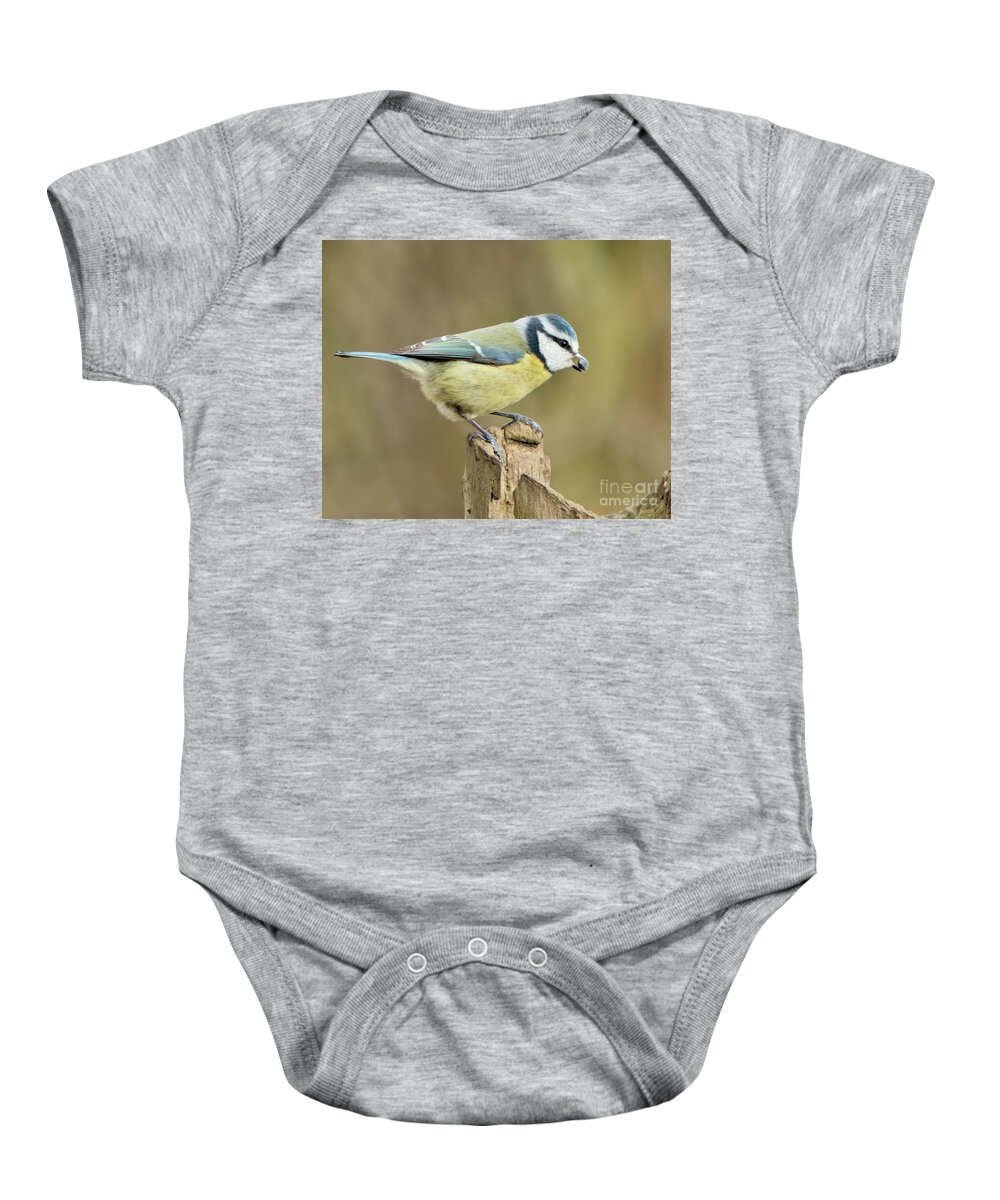  Baby Onesie featuring the photograph Blue Tit by Baggieoldboy