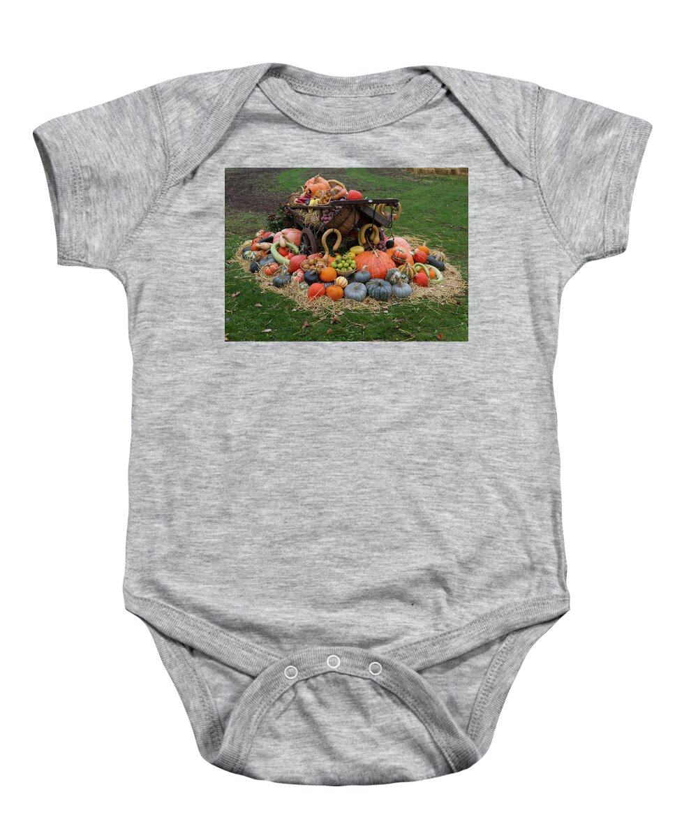Harvest Baby Onesie featuring the photograph Bountiful Harvest l by Shirley Mitchell