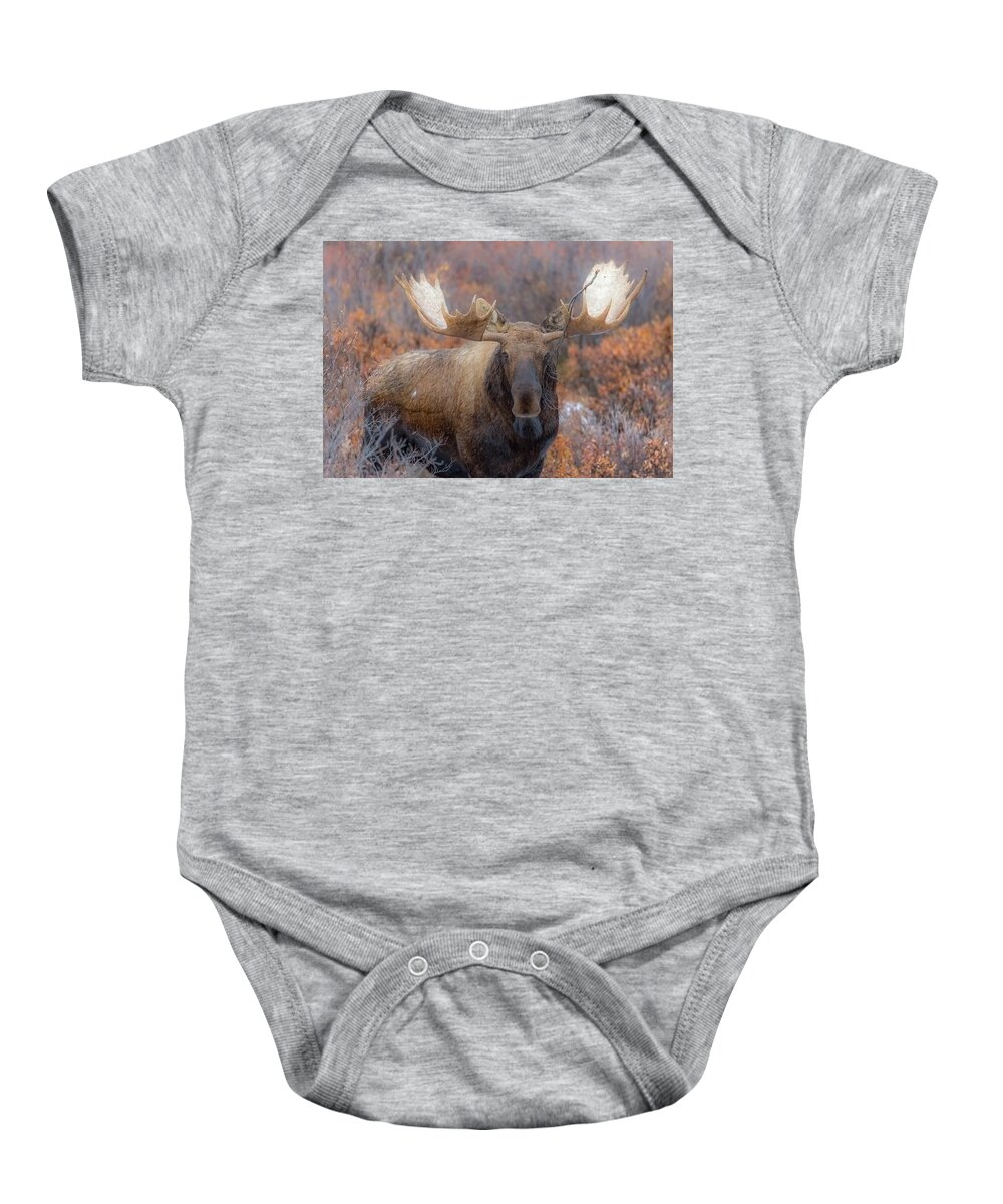 Alaska Baby Onesie featuring the photograph Branch Breaker by Kevin Dietrich