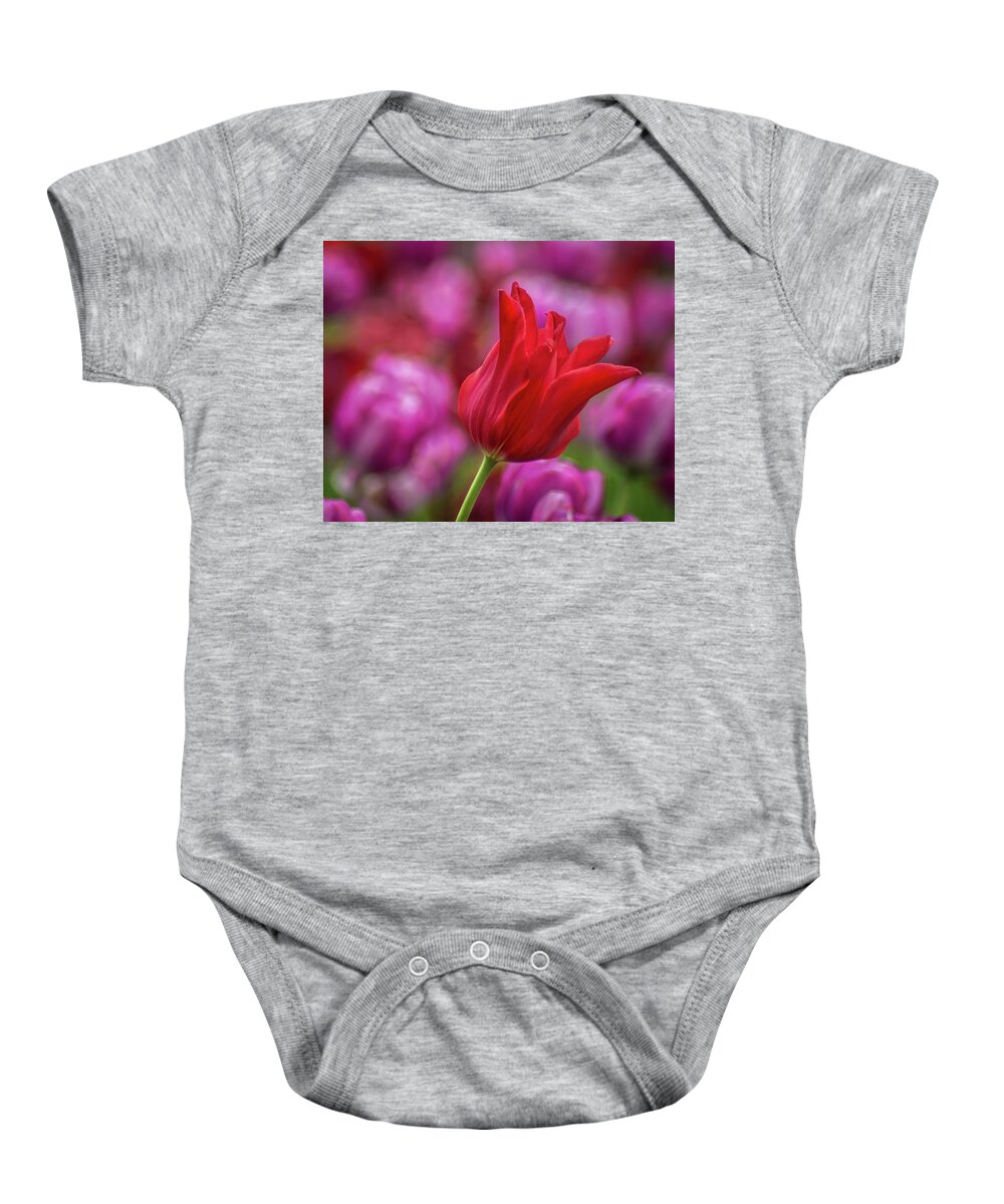 Purple Baby Onesie featuring the photograph Brazenly Delicate by Bill Pevlor