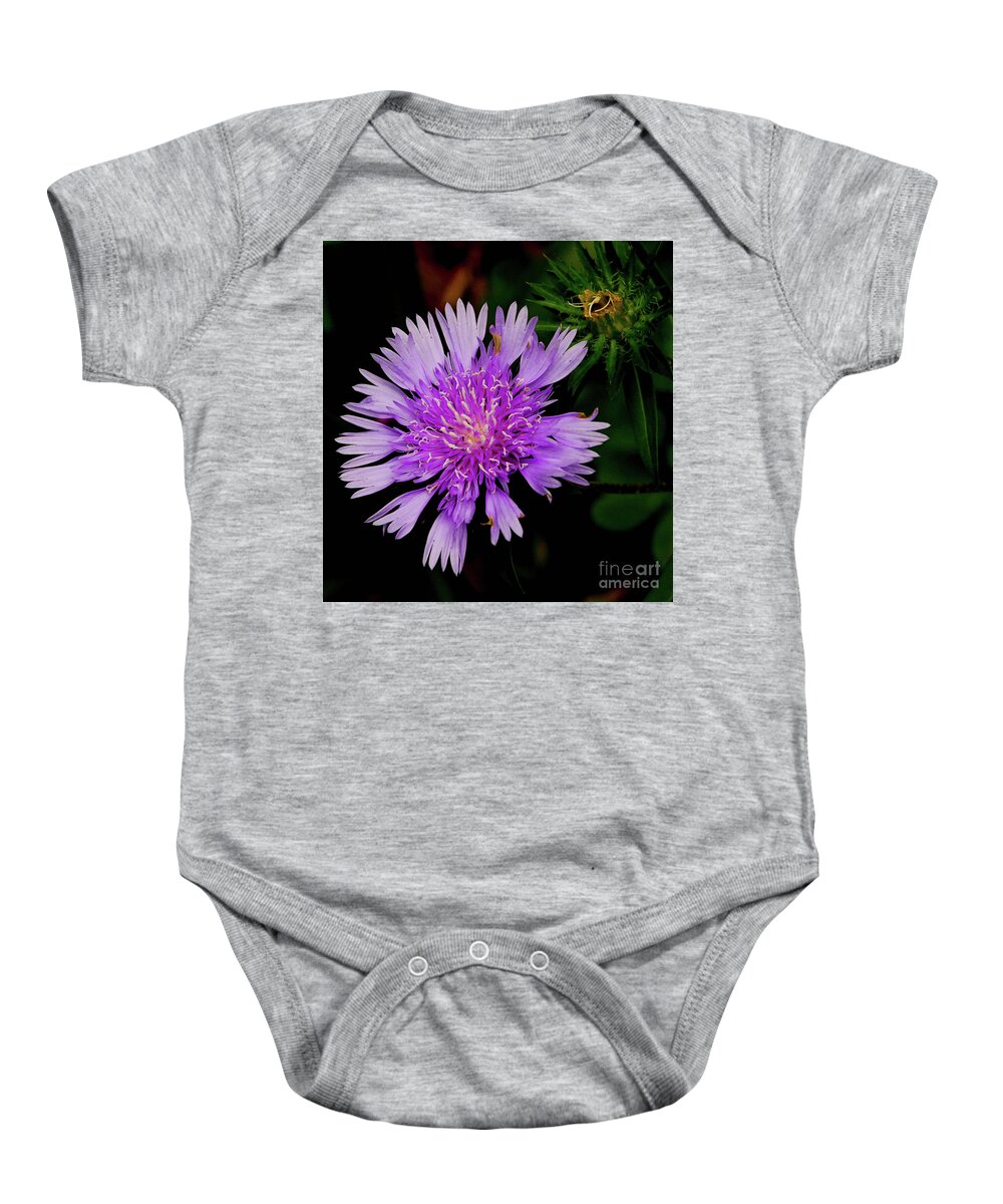 Flower Baby Onesie featuring the photograph Broken Lavender by Barry Bohn