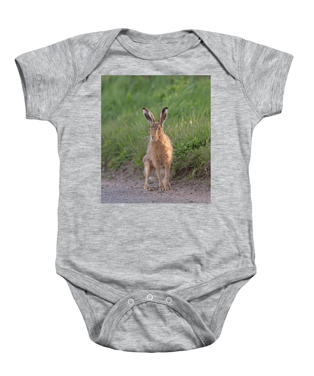 Brown Baby Onesie featuring the photograph Brown Hare Sat On Track At Dawn by Pete Walkden