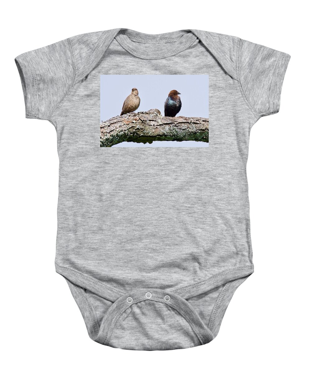 Cowbird Baby Onesie featuring the photograph Brown Headed Cowbirds Sitting in a Tree by Michael Peychich