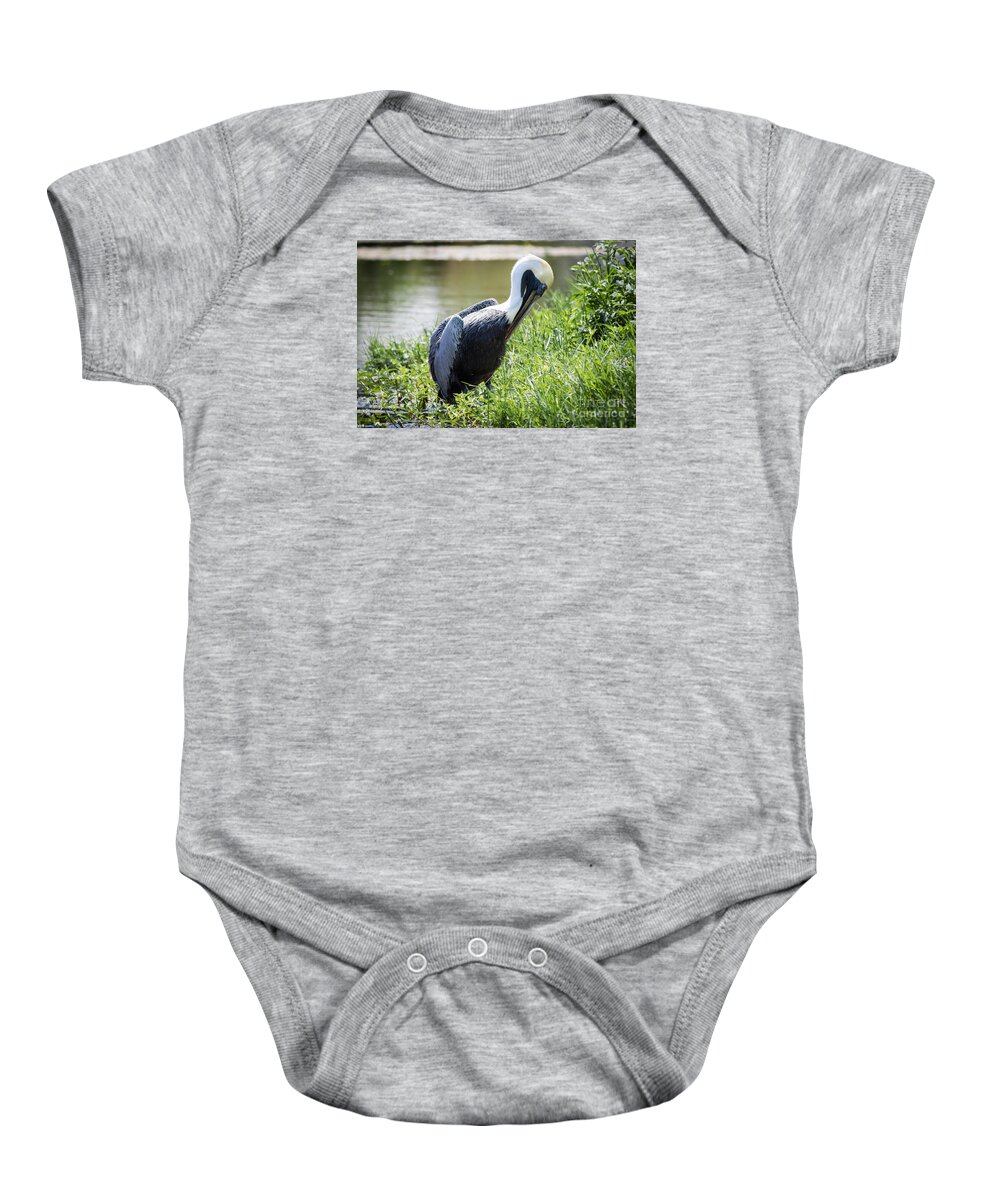 Birds Baby Onesie featuring the photograph Brown Pelican by George Kenhan