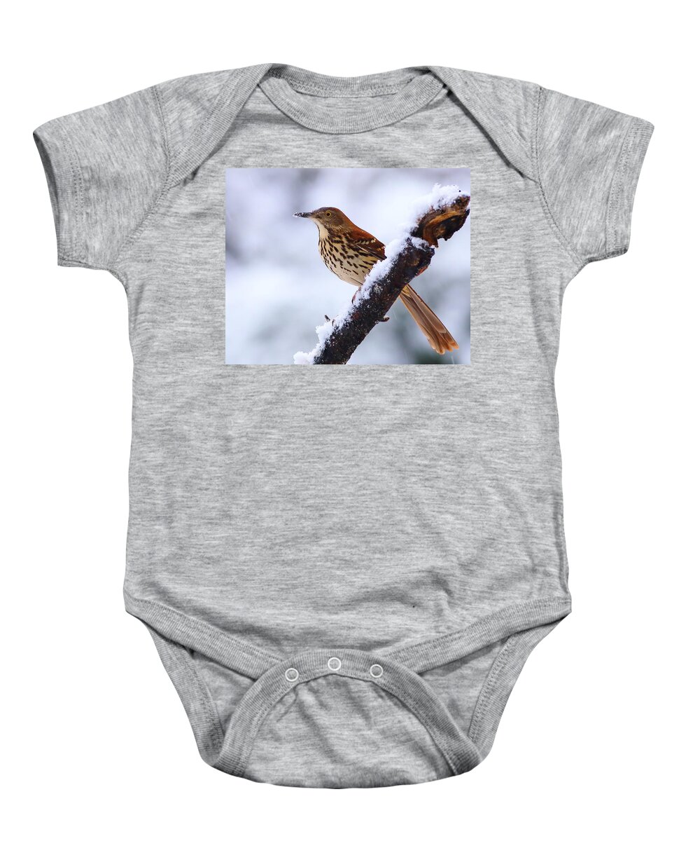 Brown Thrasher Baby Onesie featuring the photograph Brown Thrasher In Snow by Daniel Reed