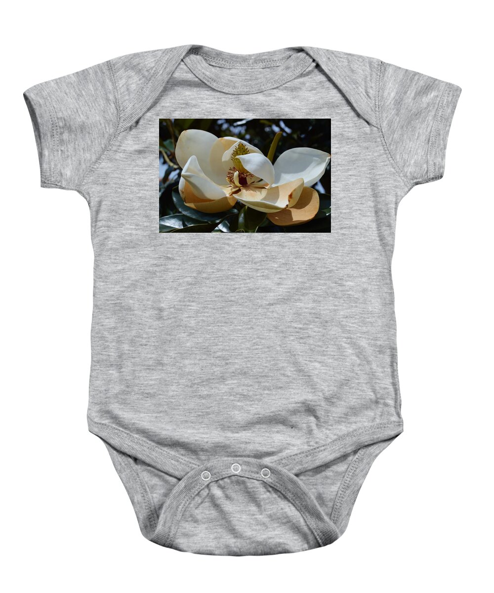 Browning Magnolia Baby Onesie featuring the photograph Browning Magnolia by Warren Thompson