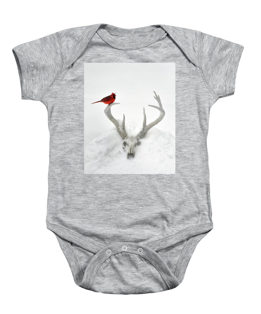 Nature Baby Onesie featuring the photograph Buck And Cardinal by Garrett Sheehan