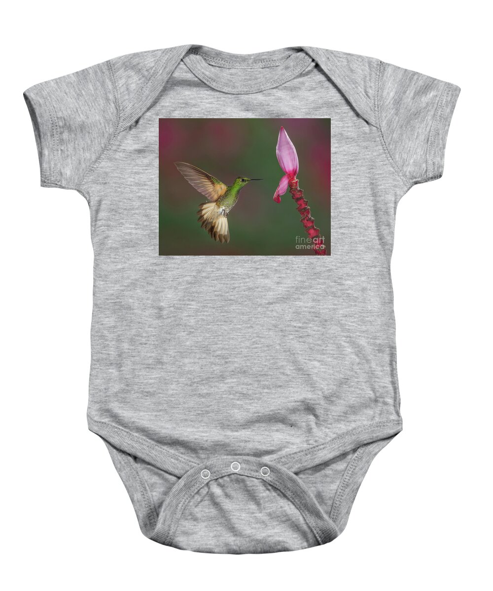 Animal Baby Onesie featuring the photograph Buff-tailed Coronet approaching Banana Flower by Jerry Fornarotto