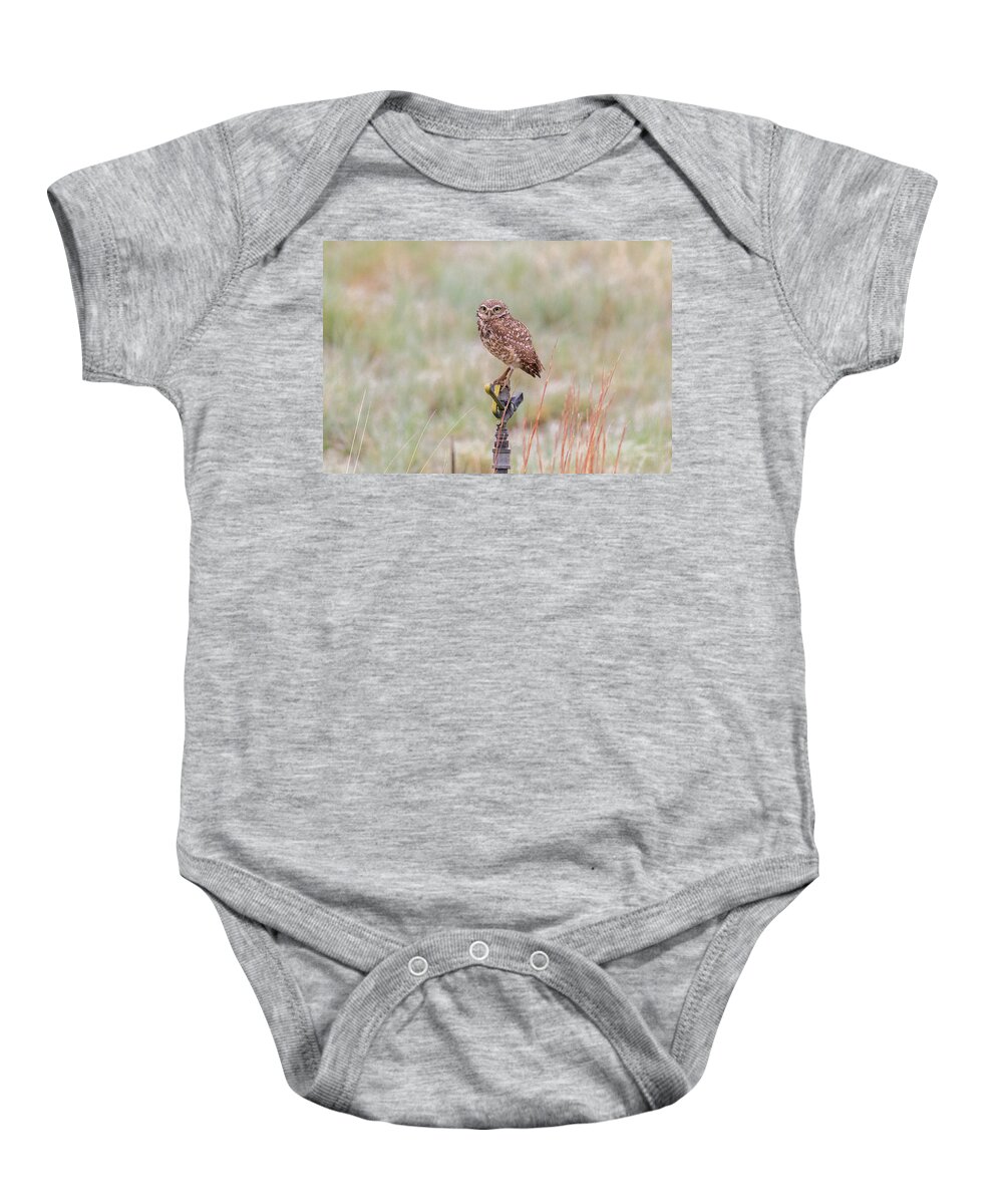 Owl Baby Onesie featuring the photograph Burrowing Owl On a Sprinkler by Tony Hake