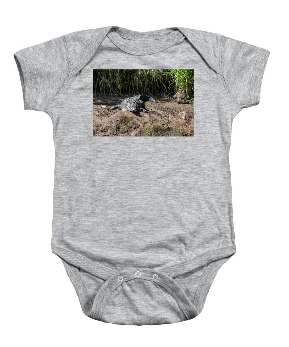 Canyon Baby Onesie featuring the photograph Butterflies on a Crocodile by Kathy McClure