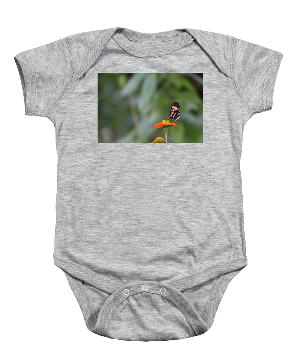 Butterfly Baby Onesie featuring the photograph Butterfly 16 by Michael Fryd