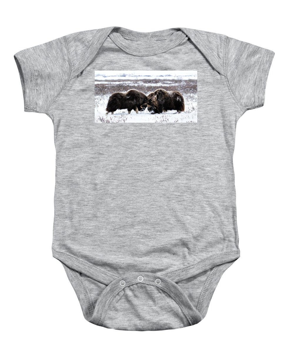 Usa Baby Onesie featuring the photograph Butting Heads by Cheryl Strahl