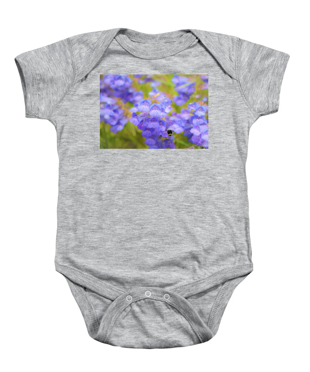 Blue Baby Onesie featuring the photograph Buzzing Around by Steph Gabler