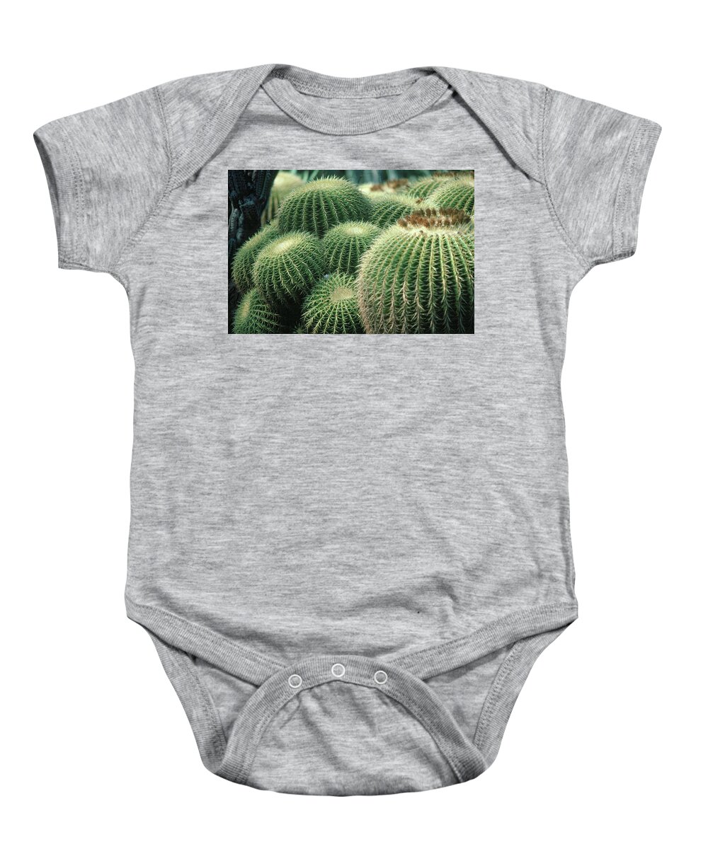 Cactus Baby Onesie featuring the photograph Cactus 4 by Andy Shomock