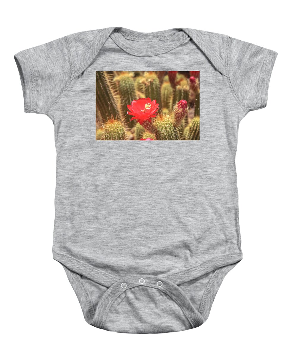 Cactus Baby Onesie featuring the photograph Cactus bloom by Darrell Foster