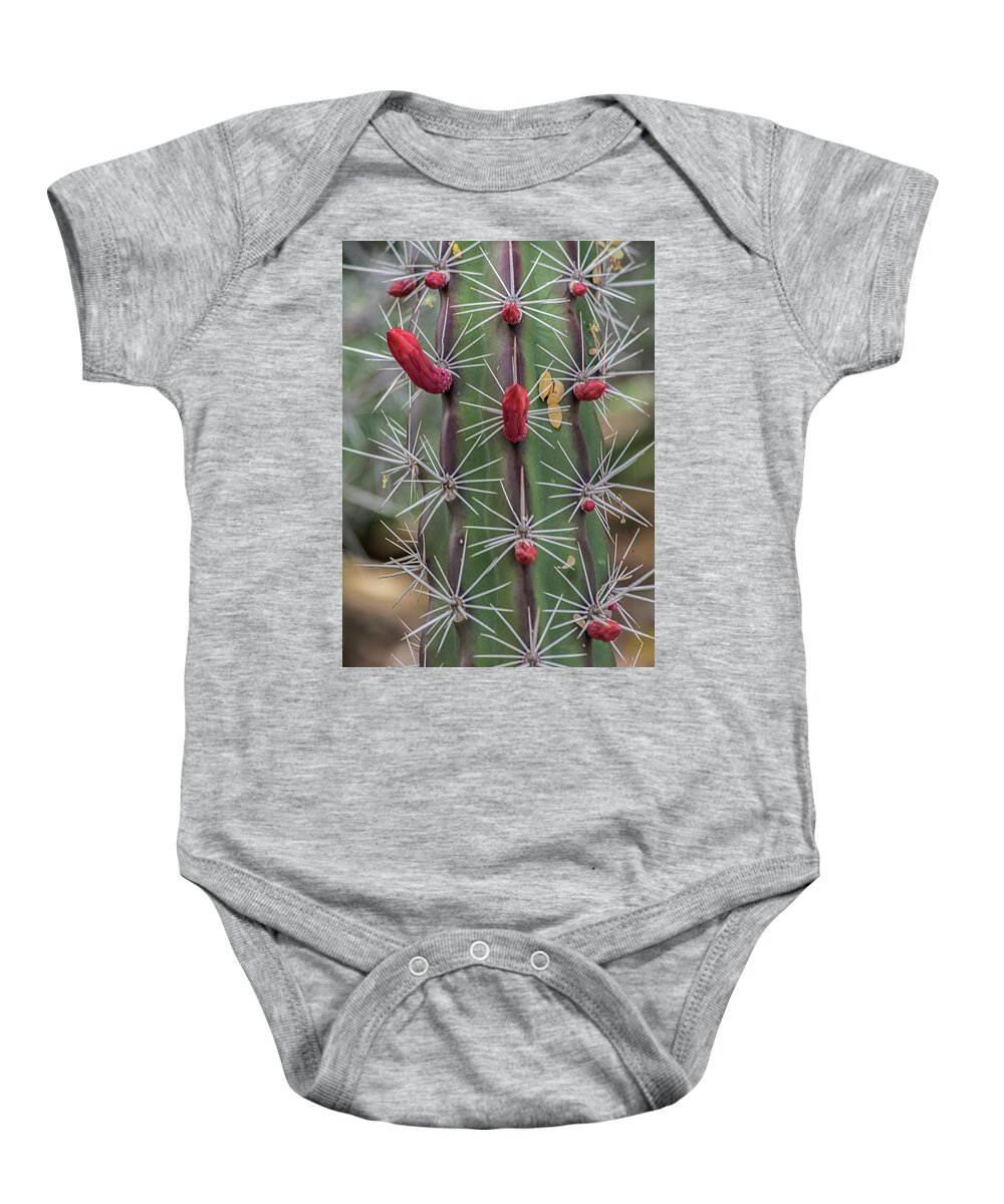 Cactus Baby Onesie featuring the photograph Cactus Needles 5930-041118-1 by Tam Ryan