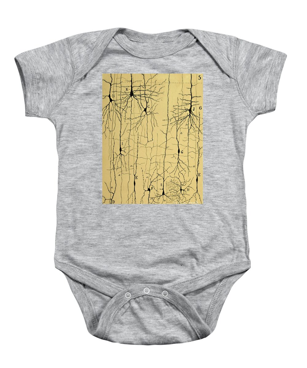 Science Baby Onesie featuring the photograph Cajal Drawing of Microscopic Structure of the Brain 1904 by Science Source