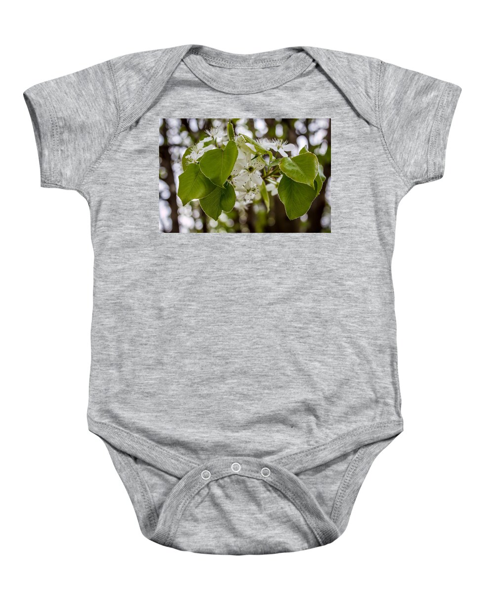 Callery Baby Onesie featuring the photograph Callery Pear Tree Bloom by Susie Weaver