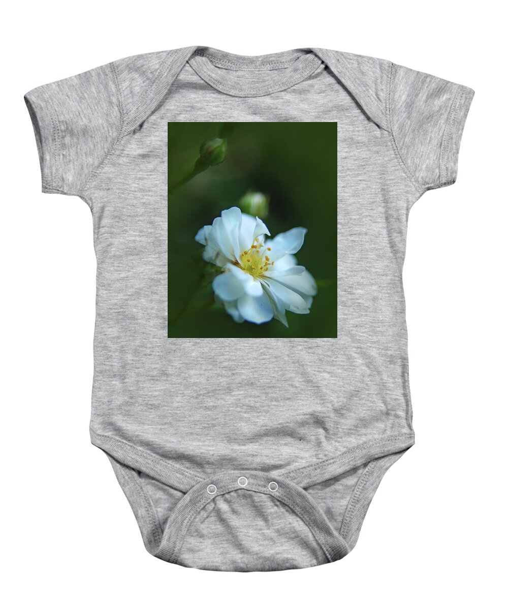 Camellia Baby Onesie featuring the photograph Camellia by Rick Mosher
