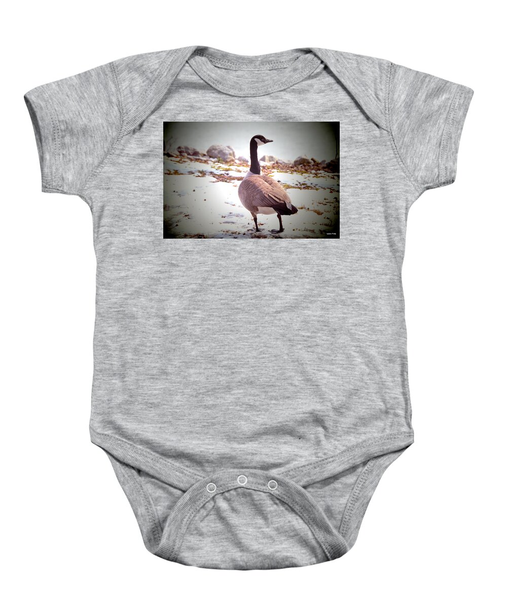 Canadian Baby Onesie featuring the photograph Canadian Goose Snow Stroll by Lesa Fine