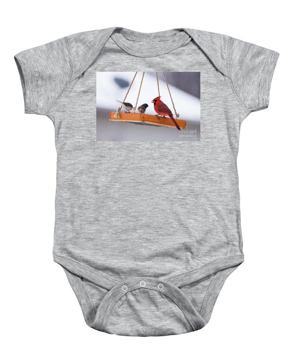 Birds Baby Onesie featuring the photograph Cardinal And Juncos by Jennifer White