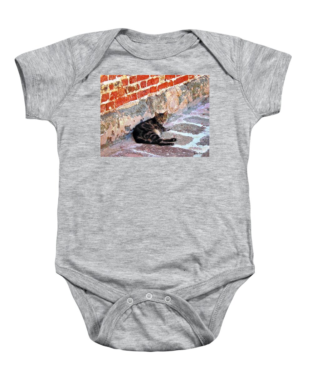 Cats Baby Onesie featuring the photograph Cat Against Stone by Susan Savad