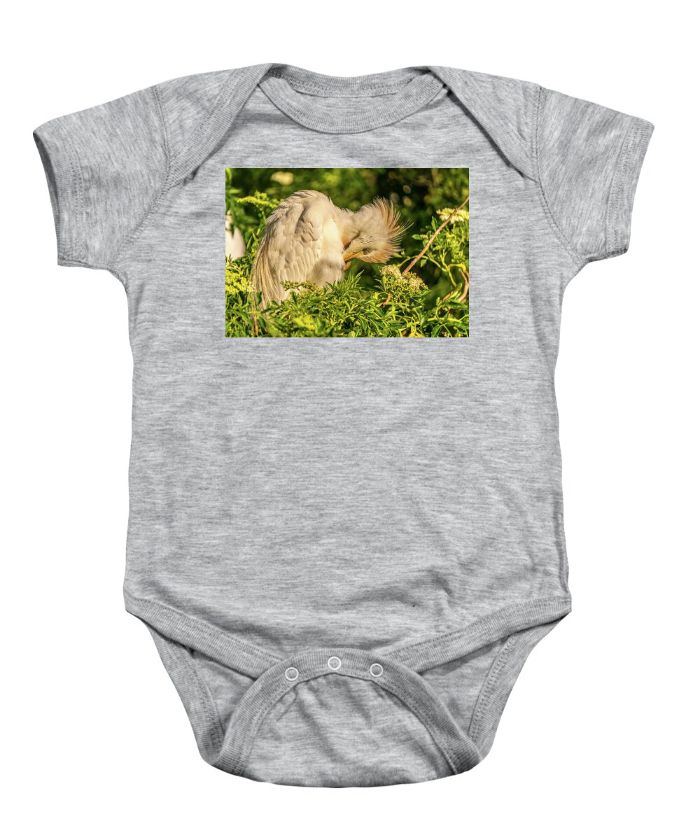 Florida Baby Onesie featuring the photograph Cattle Egret preening by Jane Luxton