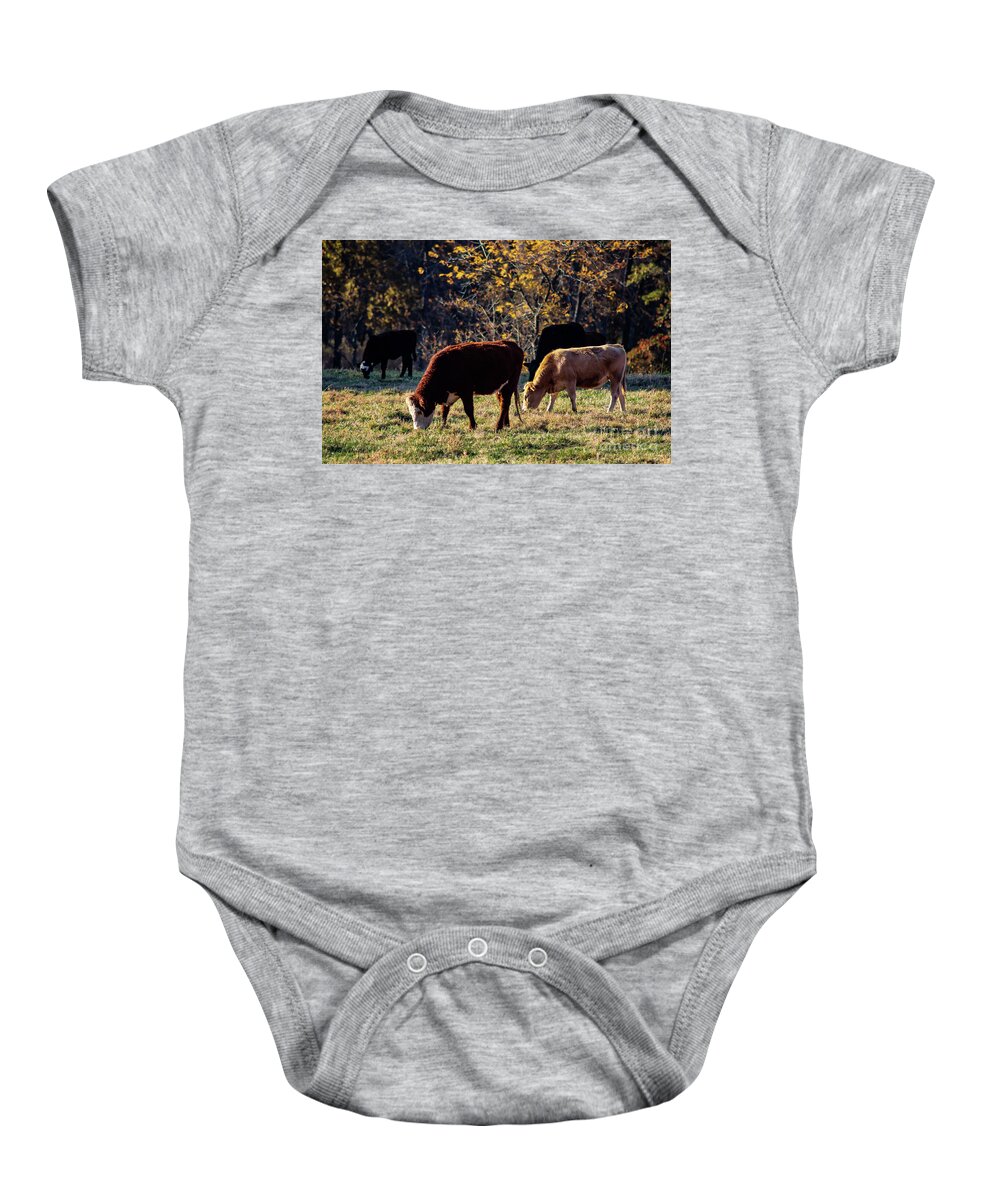 Oklahoma Baby Onesie featuring the photograph Cattle Grazing in Sunlight by Susan Vineyard