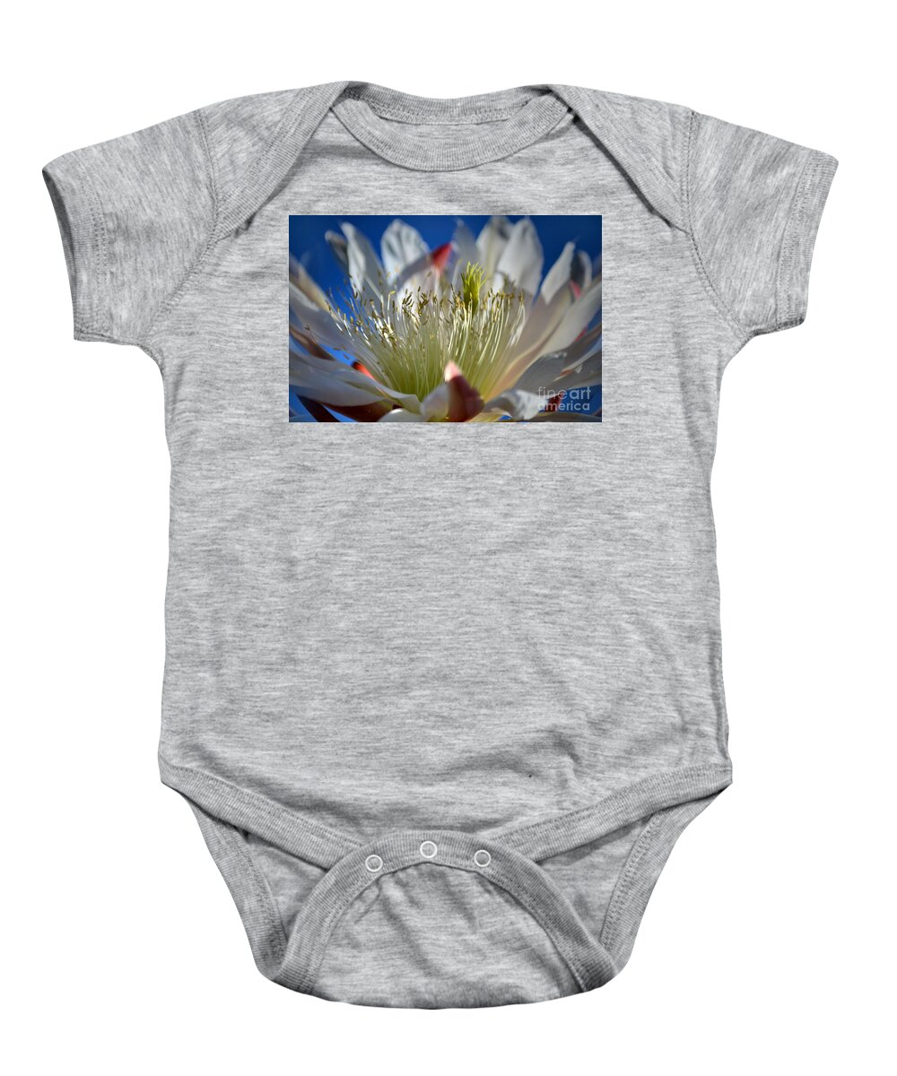 Cereus Cactus Baby Onesie featuring the photograph Cereus in the Sun by Deb Halloran