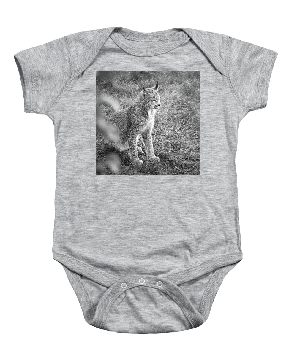Lynx Baby Onesie featuring the photograph Champion Mama Lynx bw by Tim Newton