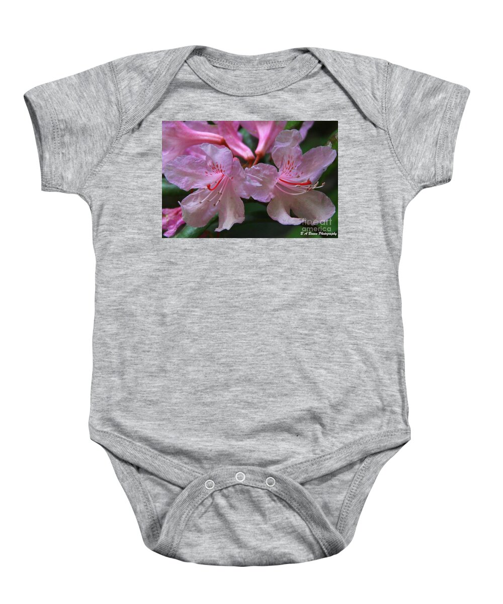 Chapmans Rhododendron Baby Onesie featuring the photograph Chapmans Rhododendron by Barbara Bowen
