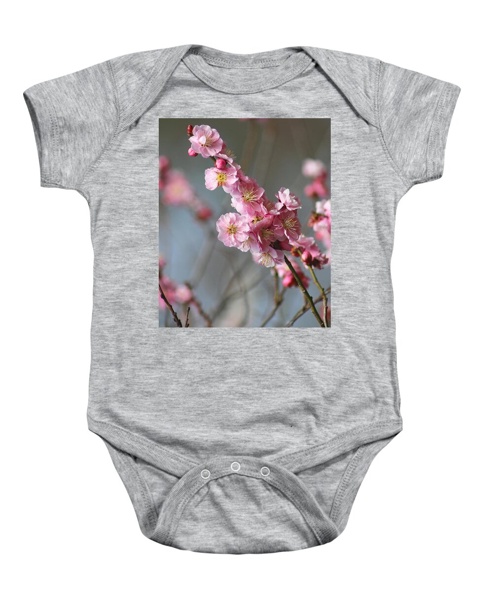 Cherry Blossoms Baby Onesie featuring the photograph Cheerful Cherry Blossoms by Living Color Photography Lorraine Lynch