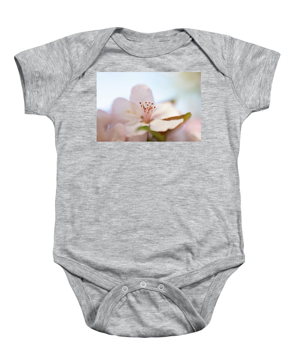 Flower Baby Onesie featuring the photograph Cherry Blossom 3 by Pamela Taylor