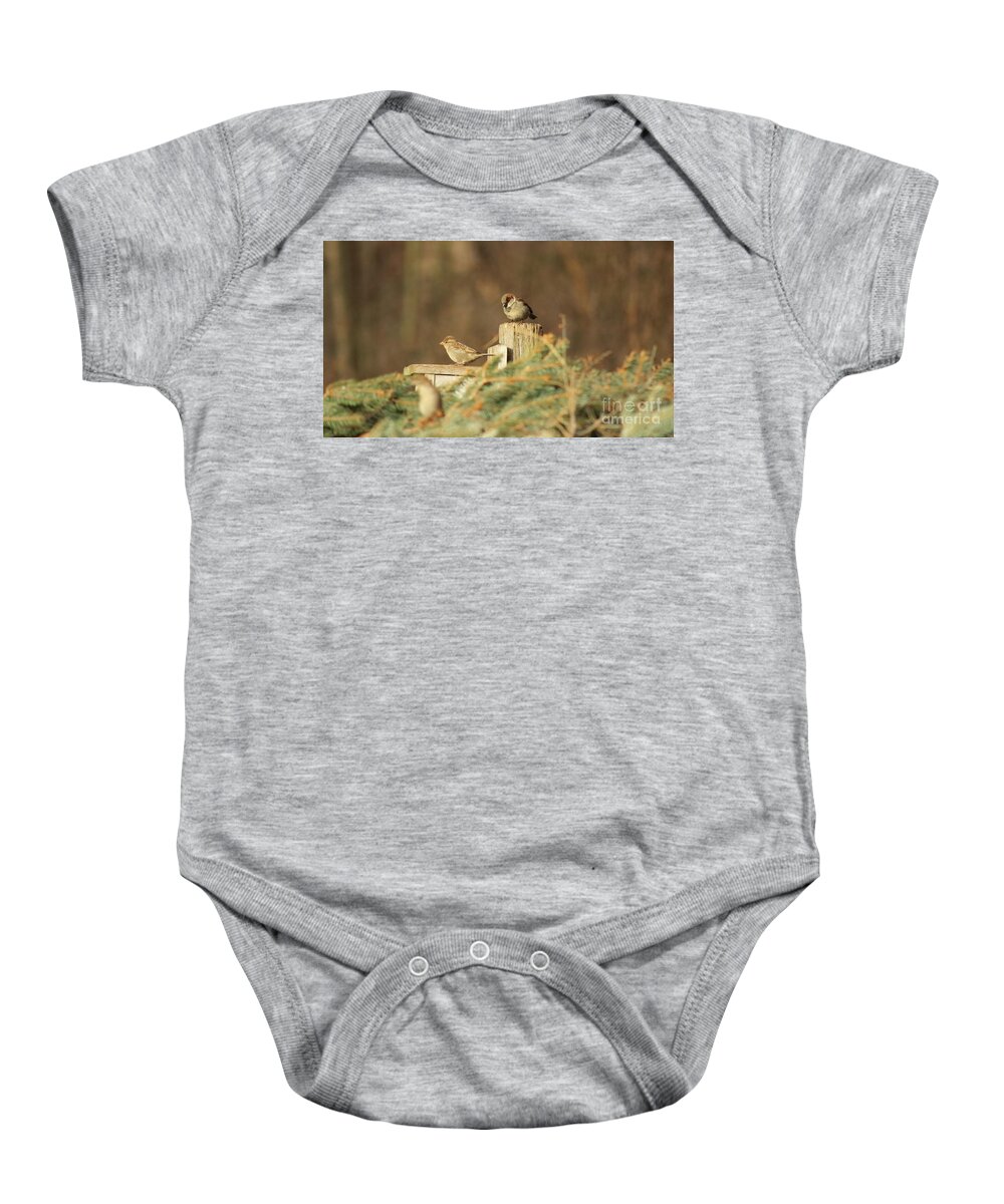 Chickadees Baby Onesie featuring the photograph Chickadees by Erick Schmidt