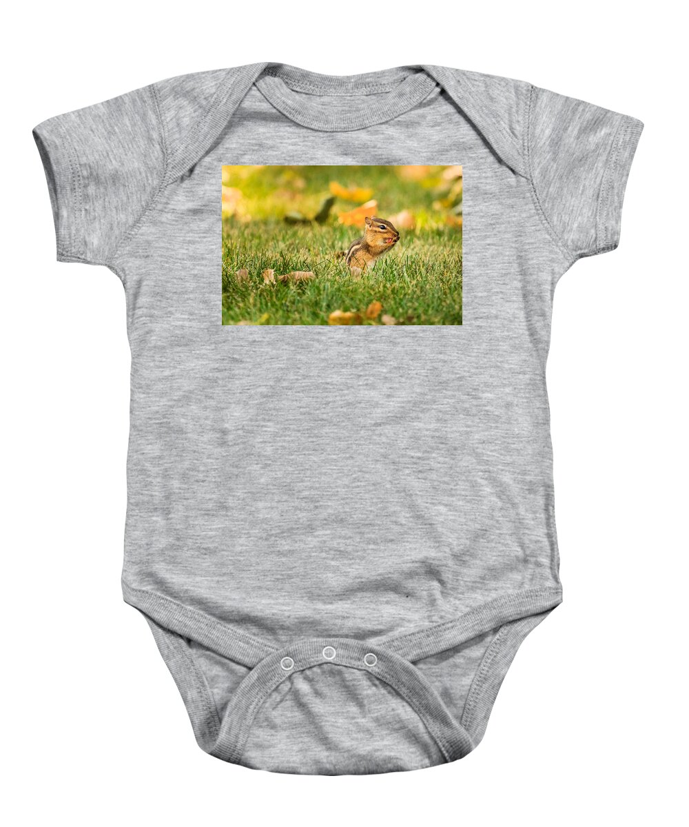 Animal Baby Onesie featuring the photograph Chipmunk Licking His Paws by Joni Eskridge