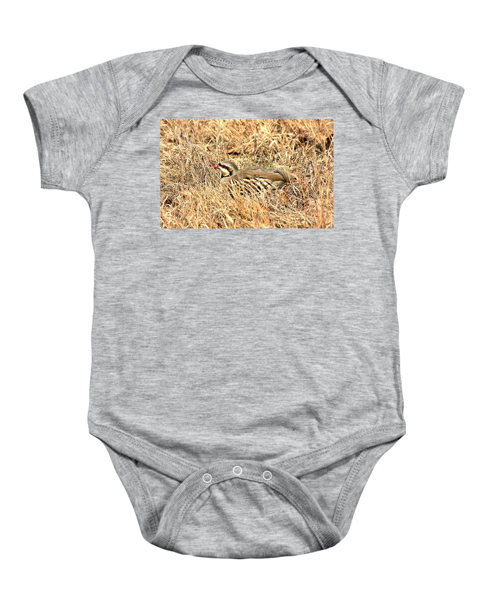 Nature Baby Onesie featuring the photograph Chuckar Bird Hiding in Grass by Sheila Brown