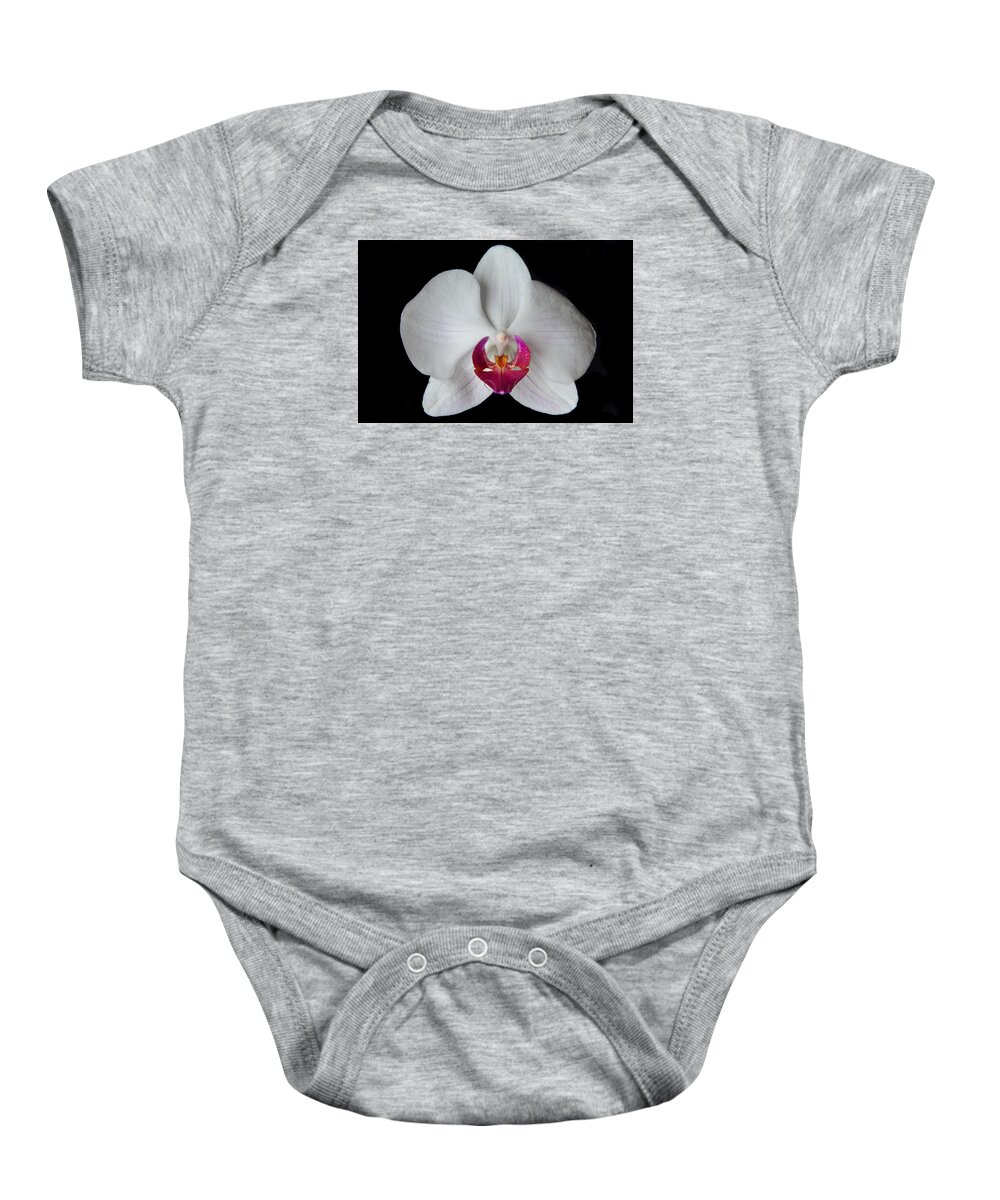 Orchid Baby Onesie featuring the photograph Classic White Orchid by Terence Davis