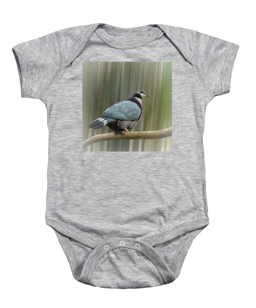 Collared Imperial Pigeon Baby Onesie featuring the digital art Collared Imperial Pigeon by Daniel Hebard