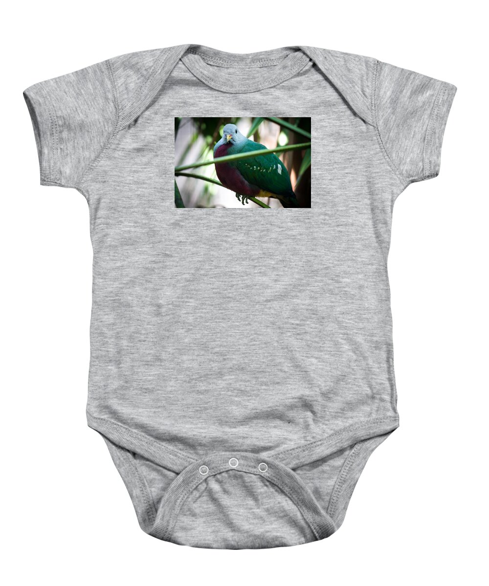 Wild Birds Baby Onesie featuring the photograph Color me Plump by Aaron Potts