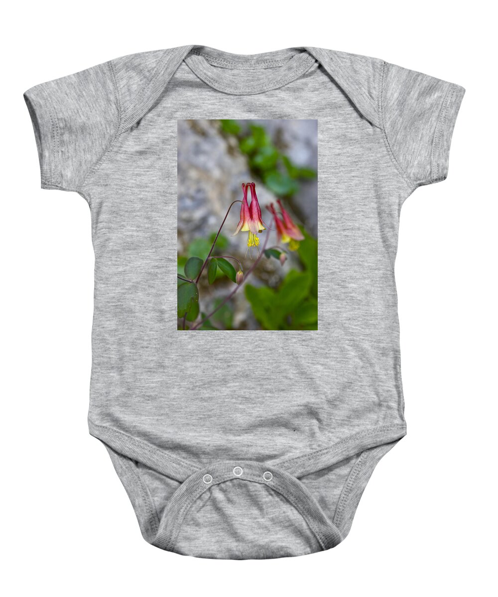 Beautiful Baby Onesie featuring the photograph Columbine by Jack R Perry