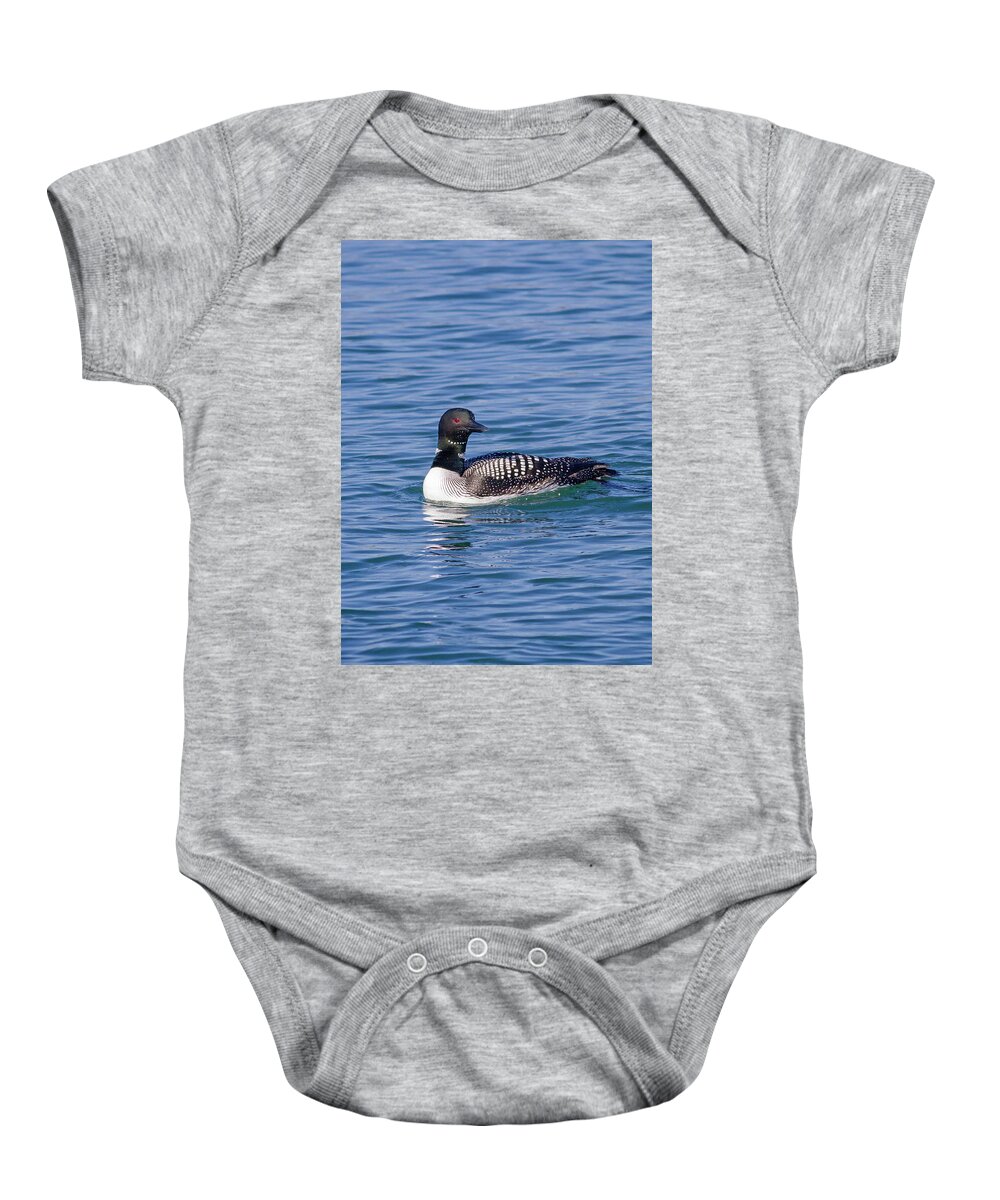 Mark Miller Photos Baby Onesie featuring the photograph Common Loon in Monterey Bay by Mark Miller
