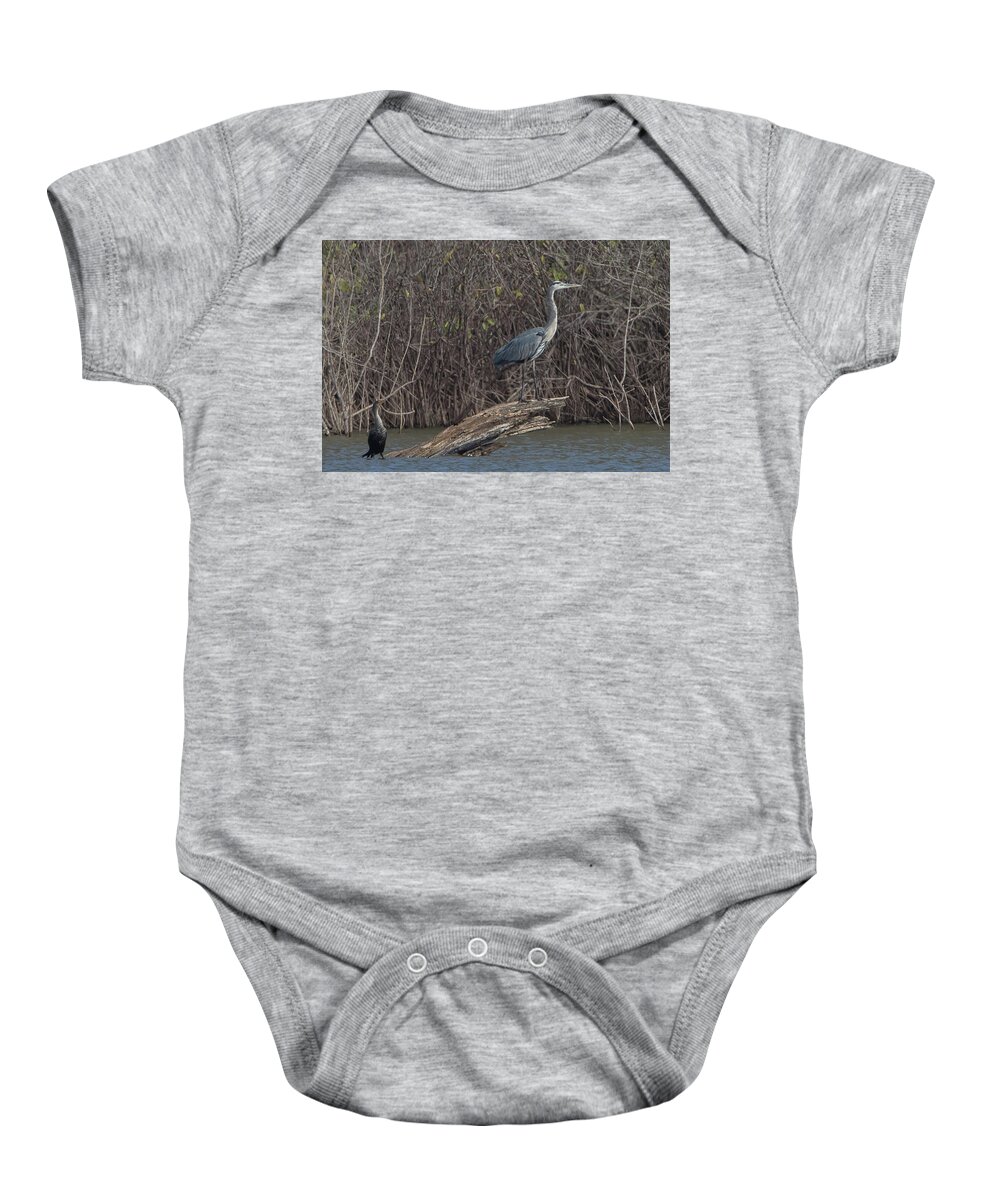Ronnie Maum Baby Onesie featuring the photograph Cormorant and Heron by Ronnie Maum