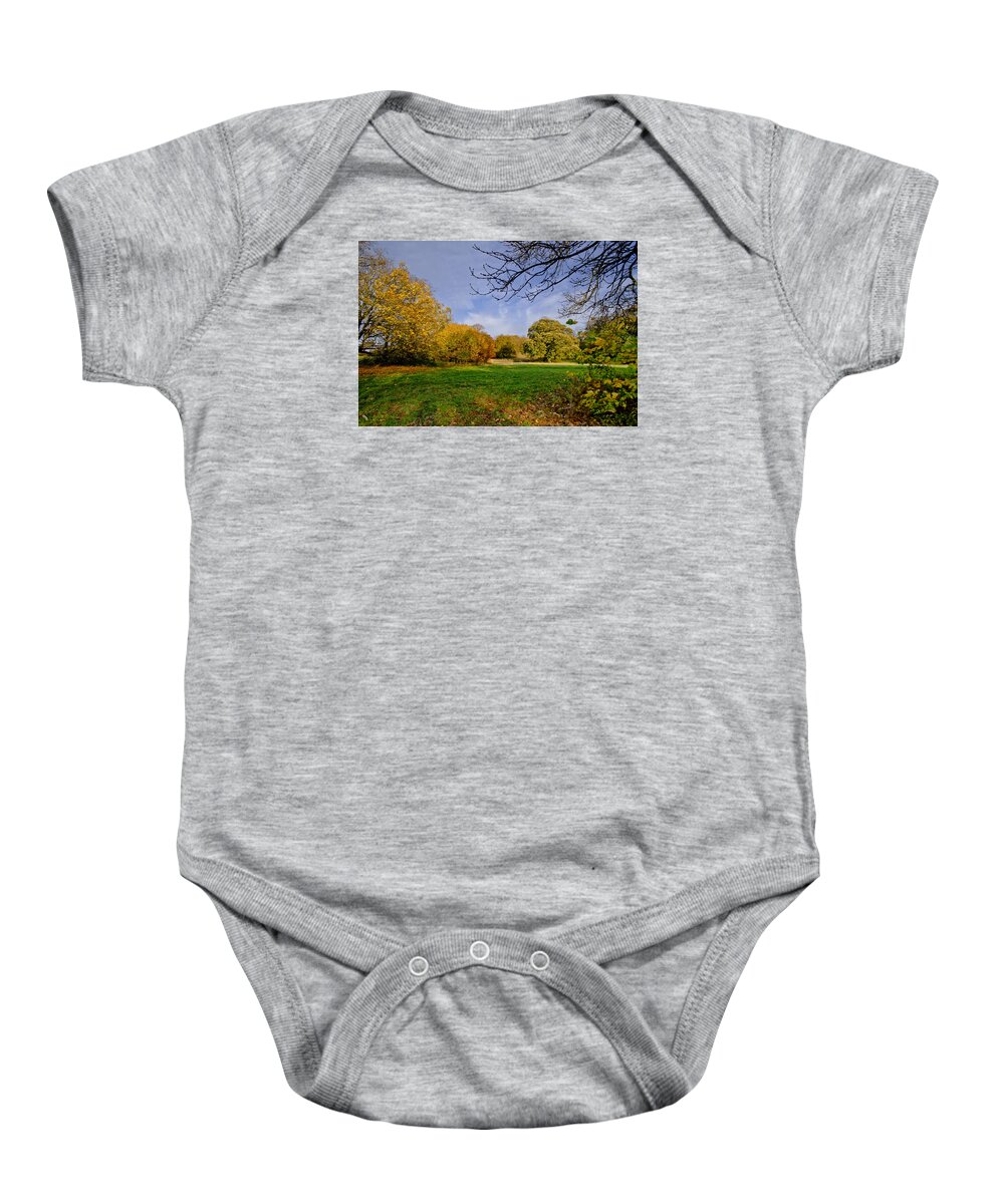 Scotland Baby Onesie featuring the photograph Corstorphine fall by Elena Perelman