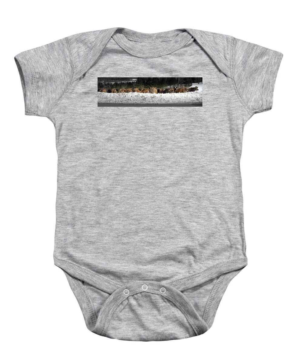 Vermont Baby Onesie featuring the photograph Cow Bank by Tim Kirchoff